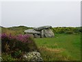 V8530 : Megalithic Tomb near Toormore by John H Darch