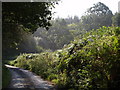 Lane at Whitecleave Cross