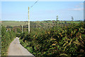 Treneglos: near Nether Scarsick