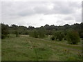 Scrub land near Fishwick Bottoms