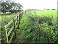 Footpath in Haddon Lane