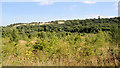 Across the Don Valley from the Trans Pennine Trail.