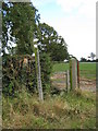 Footpath in Weston Lane