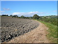 Footpath view across ploughed field