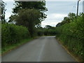 Looking up the lane