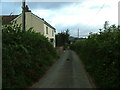 Looking along lane towards the house