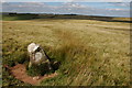 SO0241 : Boundary Stone near Twyn-y-post by Philip Halling
