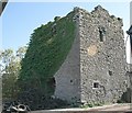 S4756 : Holdensrath Castle by kevin higgins