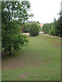 Picnic Area at Backney