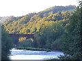 Disused Railway Bridge