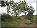 Farm track at Cynhinfa