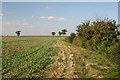 Footpath to RAF Wethersfield