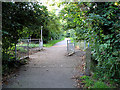 Footpath to Nether Street