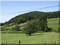 Farmland with wooded hillside at Graig-wen