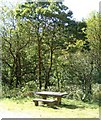 Picnic table in Cardinham Woods