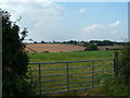 SW9544 : Field, through a gate. by Gareth