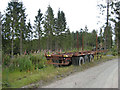 Forestry trailer, Dyfnant Forest