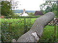 Field by Yewtree Farm