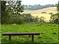 View Towards Effingham Hill