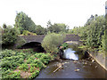 Arch bridge over River Don