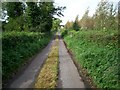 Unnamed Country Lane off the Portadown to Markethill Road.