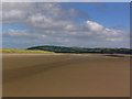 NX1654 : Luce sands looking east by David Baird