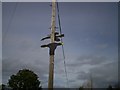 Bird Sculpture on the Markethill Road, Portadown