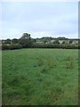 Fields looking up Coker Hill