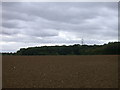 Pylon over Littley Wood East and Grove Spring