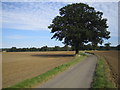 Codicote: Three Houses Lane