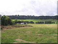 Fields at Cargenholm