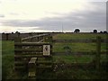 Field near Manor House Farm