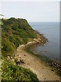 TA0197 : Hayburn Wyke from The Cleveland Way long distance footpath by Phil Catterall