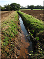 Stream or field drain near Manor House