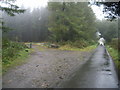 Entrance to Forestry Commission land