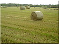 Field of Bales