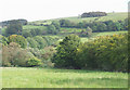 The Foothills of Bryn Cysegrfa, Ceredigion