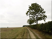 SE9729 : A Yorkshire Wolds' Bridleway by Andy Beecroft