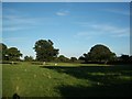 Pastureland and shadows, early autumn evening