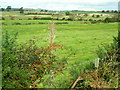 Fields Around Hardgrove Burn