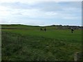 Golf course at Stromness