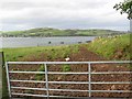 NR7418 : Grazing land overlooking Campbeltown Loch by Johnny Durnan