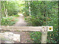 Footpath into Greatlee Wood