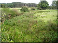 Rough Ground Beside Burn at Cockpool