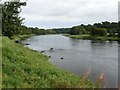 River Tay