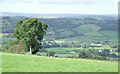 Grazing Land and Teifi Valley Landscape, Ceredigion