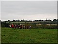 Blore Heath Battle re-enactment