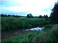 The overgrown bank of The River Lyvennet