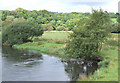 Afon Teifi at Llanfair Clydogau, Ceredigion