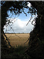 View east across stubble